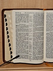 Cambridge Red Letter Edition Holy Bible Bonded Leather Indexed Concordance