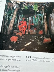 SACRED ARTS of HAITIAN VODOU Fowler Museum Haiti Voodoo Primitivism 1995