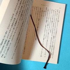Kangaroo Notebook Abe Kobo Japanese edition 1999 Shinchosha pocket novel