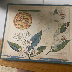 Picture Book of Florida Bernadine Bailey 1953 Kurt Wiese