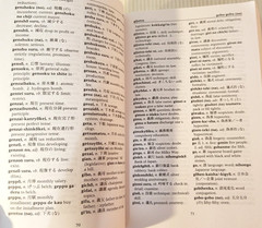 Japanese-English- English-Japanese Dictionary by Seigo Nakao…