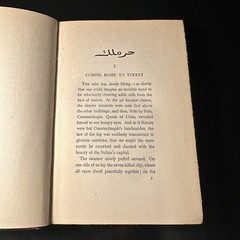 Haremlik, Life Of Turkish Women By Demetra Vaka – Houghton Mifflin 1909 HC