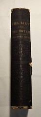 1850 First Edition Lily and the Totem Simms Huguenots Florida Original Cloth