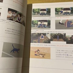 Studio Ghibli Cats Art Book Hayao Miyazaki Collectible Import form Japan