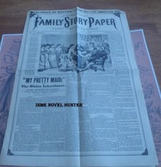 NEW YORK FAMILY CHARLOTTE KINGS LEYSTORY PAPER #760 NORMAN MUNRO 1888 STORYPAPER