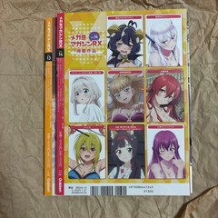 Megami Magazine RX Vol13 Vol14 set