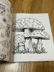 Forestcore Coloring Book 128 Pages Forest to Life Deer Mushrooms Butterflies Art