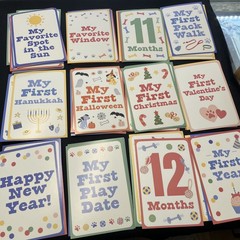 My Puppy’s First Year 48 Milestone Cards Memories 4in x 5.5in Stand Included