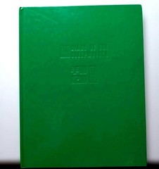 Diary of the Sleepwalker Zhu Wei Art Book Hardcover 11.8×8.7in 2cm Spine