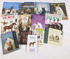 Horse Pony Equestrian Riding Training Horsemanship Dressage Eventing Lot of 13