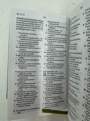 Mini Biblia tamano bolsillo Reina Valera 1960 Piel Imitación Verde