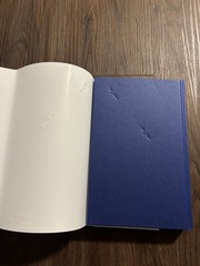 Forget Me Not by Julie Soto – Signed Afterlight edition