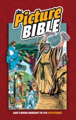 The Picture Bible – Hardcover By Hoth, Iva – GOOD