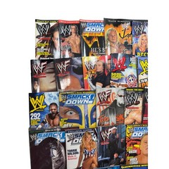 READ Lot of 30+ Vintage WWF WWE SmackDown Magazines 2000-2003 The Rock brock