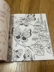 Forestcore Coloring Book 128 Pages Forest to Life Deer Mushrooms Butterflies Art
