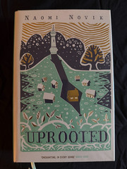 Naomi Novik Spinning Silver & Uprooted 2-Book Box Set Slipcase