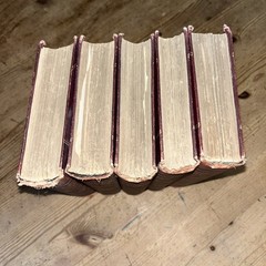 Lloyd’s Natural History 1896/97 BUTTERFLIES & MOTHS WF Kirby 5 Volumes