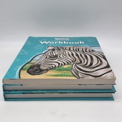 Reading Mastery Reading Literature Strand Grade 5 Textbook A/B and Workbook