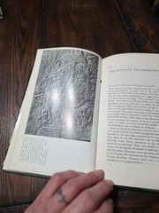 Cruelty and Civilization : The Roman Games by Roland Auguet 1st Ed, 1972)
