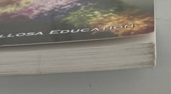 Carson Dellosa Skills for Success Spanish Workbook, Parts of Speech, Grammar…