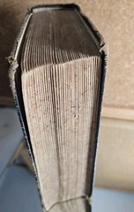 RARE BOOK Eugenics by T. W. Shannon 1916 1st. Good Original Copy 584 Pages