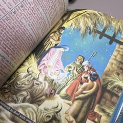 Collins World Vintage Illustrated Zip Up Holy Bible