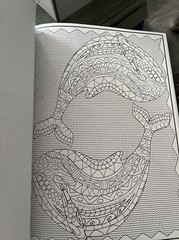 Cra-Z-art Timeless Creations Coloring Book, Wild at Heart, 64 pages