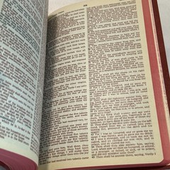 The Holy Bible ~ KJV ~ Self-Pronouncing Red Letter Version ~ Red Cover with Gold