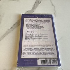 Angelic Realities The Survival Handbook By Ashayana Deane Ekr MC New Reprint
