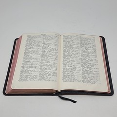 Holy Bible Brevier Self Pronouncing India Paper Great Britain Goatskin Oxford