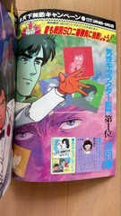 Animage Magazine May 1989 iue vol131 Maimu