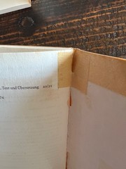 DTV Deutscher Taschenbuch Verlag – CORNELIUS NEPOS – Vitae PLAUTUS – Mostellia