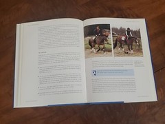 Solo Schooling – Horseriding by Wendy Jago / 2003, J.A. Allen