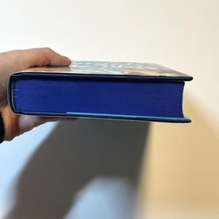 Forget Me Not Julie Soto Afterlight Special Edition Sprayed Edges NEW Unread