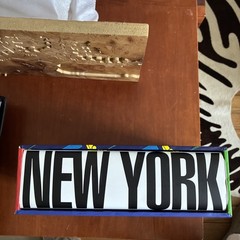 2006 New York Text by Tama Janowitz Saks Fifth Avenue Assouline Book w/ Slipcase