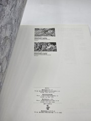 Toys Press Five Star Stories Book Characters 3 Water Dragon Japanese US Seller