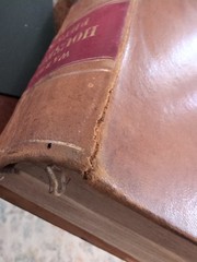 The Household Physician By Ira Warren 1864. 800 Pages