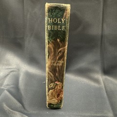 Vintage – Rainbow Bible – Children’s Illustrated KJV – Self-Pronouncing Bible