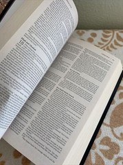 Zondervan New International Version NIV Holy Bible Red Letter Vintage