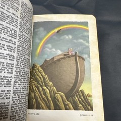 Vintage – Rainbow Bible – Children’s Illustrated KJV – Self-Pronouncing Bible