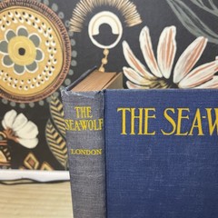 1904 The Sea-Wolf Jack London – Antique Early Reprint – Grosset & Dunlap
