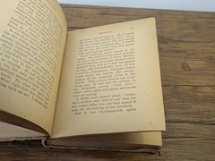 Antique Lot of 3 Books – c. 1910s Little Prudy Series by Sophie May