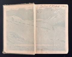 THE CALL OF THE WILD – Jack London – 1903 First (1st) Edition