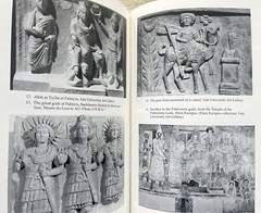 PALMYRA and its EMPIRE – Enemy of Rome 28mm 15mm History Book Richard Stoneman