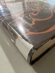 Second Edition The Mad-Song : A Novel by Mabel Wagnalls 1926 HC w/ DJ. 5-6
