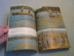 VINTAGE NATIONAL GEOGRAPHIC January 1956 ATHENS TO ISTANBUL Mauritius MONKEYS