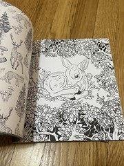Forestcore Coloring Book 128 Pages Forest to Life Deer Mushrooms Butterflies Art