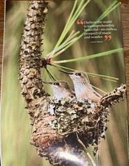 Birds & Blooms Magazine ~ June/July 2017 Annual Hummingbird Issue! 71 Pages