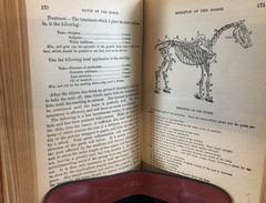 Veterinary practice; or, Explanatory Stock Doctor, Navin, 1884, E-94