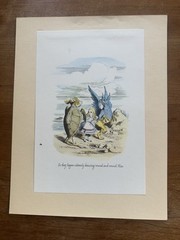 8 Vintage John Tenniel Alice In Wonderland Prints (8.5 x 11 Inches)
